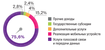 Структура доходов от основной деятельности за 2024 год
