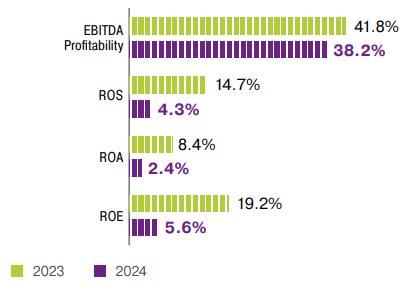 Profitability Indicators